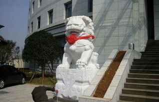 嘉祥石雕獅子圖片,嘉祥石雕獅子高清圖片 山東紫云山石雕廠,